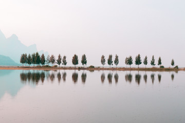 世界厨师日送给亲爱厨师老婆温馨的话