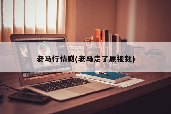 老马行情感(老马走了原视频)