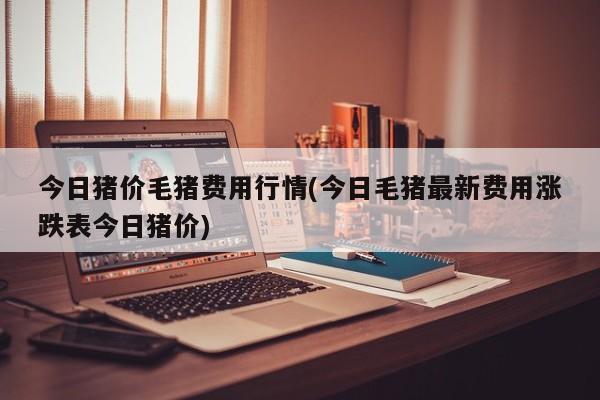 甲基硅油行情(甲硅基油是什么)