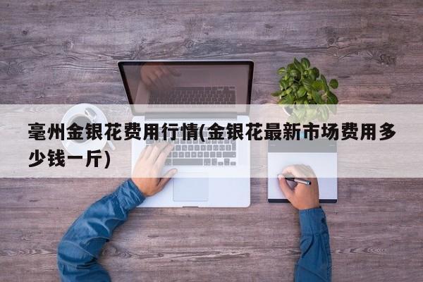 深圳限行宝马限行吗/深圳限行会怎么样