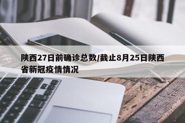 邵阳市确诊新肺炎病例/邵阳市确诊新肺炎病例多少