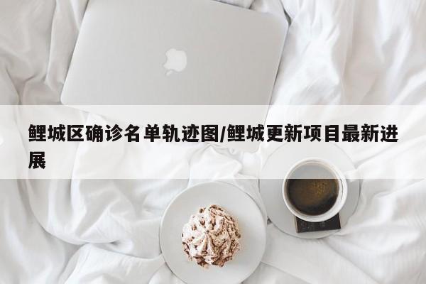 广西牵引葫芦行情(便携式牵引葫芦支架)