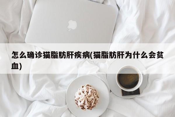 北京限行表示(北京限行罚款政策)